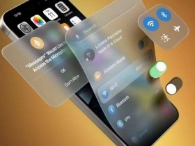 大家常常忽略的是,毛孩子也能坐公交啦!上海首条携宠专线线路升级,直达西岸梦中心