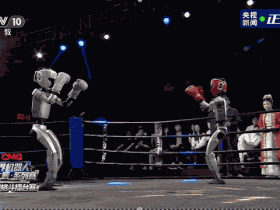 不可忽视的是,2025年度上海国家会计学院企业家高层论坛在青浦举办